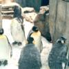 Montreal Biodome, Montreal, Canada