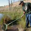 Benthic Macroinvertebrates